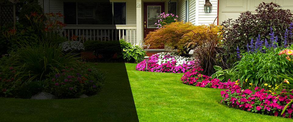 Clute Landscapers