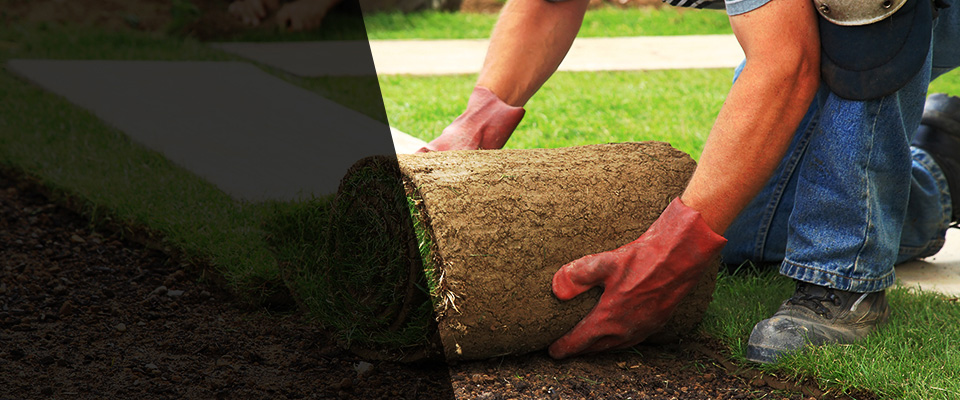 Clute Landscapers